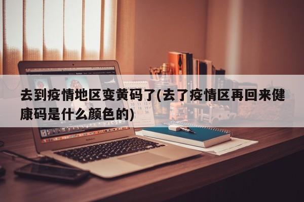 去到疫情地区变黄码了(去了疫情区再回来健康码是什么颜色的)