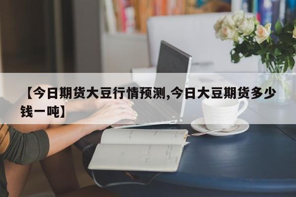 【今日期货大豆行情预测,今日大豆期货多少钱一吨】