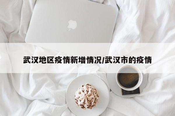 武汉地区疫情新增情况/武汉市的疫情
