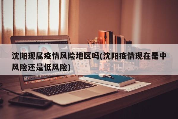 沈阳现属疫情风险地区吗(沈阳疫情现在是中风险还是低风险)