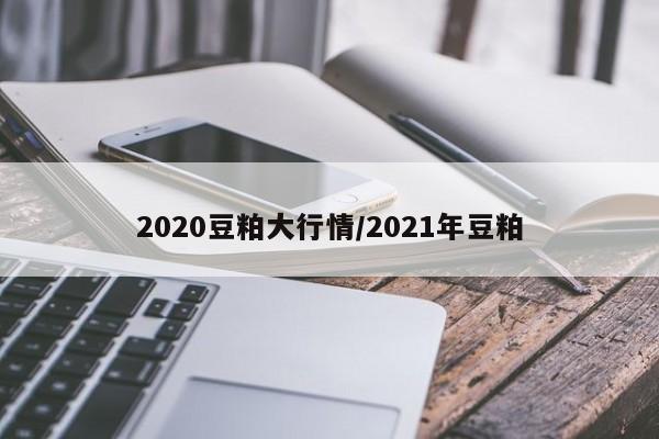 2020豆粕大行情/2021年豆粕